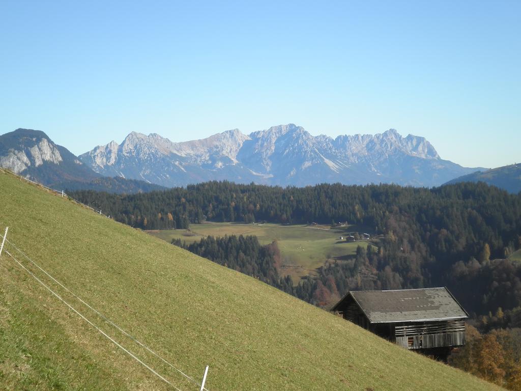 Margreiter *